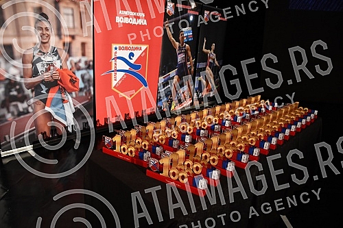 A ceremonial academy was held at the Serbian National Theater on the occasion of the 100th anniversary of the Athletic Club of Vojvodina, and as part of the celebration of this significant jubilee, with an appropriate cultural and artistic program, t