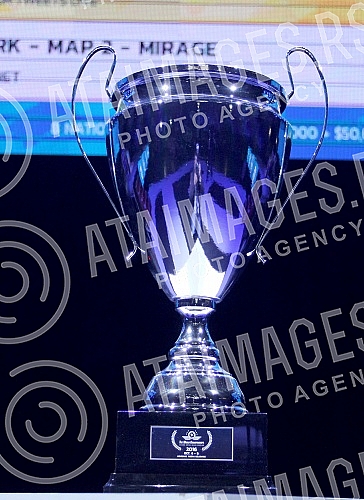 World Championships in Counter-Strike: Global Offensive held in Kombank arena.Svetsko prvenstvo u Kaunter strajku - Globalna ofanziva odrzano u Kombank areni. 