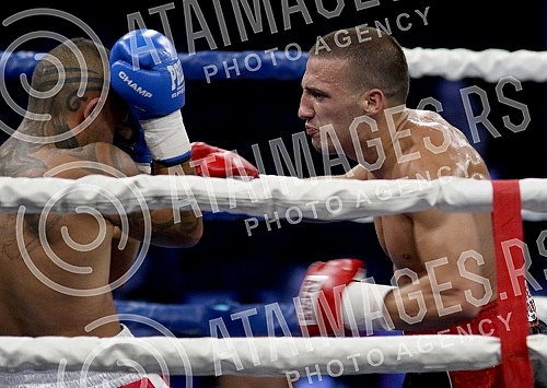 Night of professional boxing 