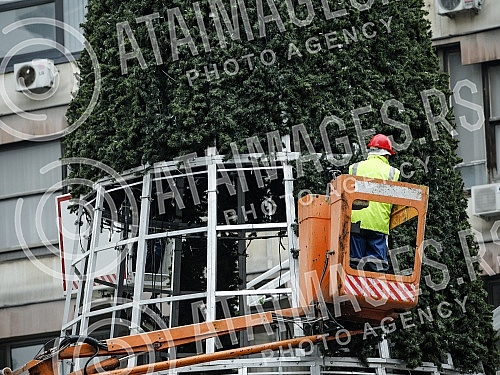 Installation of a New Year's tree in Knez Mihailova street, in the immediate vicinity of Republic Square.Postavljanje novogodisnje jelke u Knez Mihailovoj ulici, u neposrednoj blizini Trga Republike
