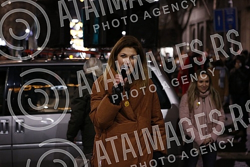 In front of the Presidency, a protest is being held against the excavation of lithium and pine on the territory of the whole of Serbia, under the name 