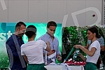 Organized by the Heineken brand, a viewing of the UEFA EURO 2020 final between Italy and England was organized on the roof of the Galerija shopping center, which opened this space for one event for the first time.U organizaciji brenda Heineken orga