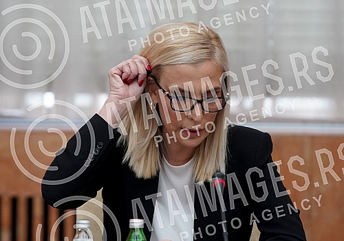 The first meeting of the Working group for the development of the national strategy for the prevention and suppression of violence against women in the family and partnerships 2020-2025 was held at the Palace of Serbia. and the accompanying action pl