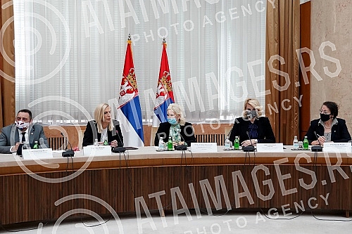 The first meeting of the Working group for the development of the national strategy for the prevention and suppression of violence against women in the family and partnerships 2020-2025 was held at the Palace of Serbia. and the accompanying action pl