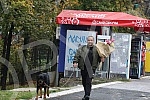 President of the Serbian right Misa Vacic on a walk with his pet Rottweiler Atila. Predsednik Srpske desnice Misa Vacic u setnji sa ljubimcem rotvajlerom Atilom.