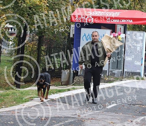 President of the Serbian right Misa Vacic on a walk with his pet Rottweiler Atila. Predsednik Srpske desnice Misa Vacic u setnji sa ljubimcem rotvajlerom Atilom.