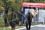 President of the Serbian right Misa Vacic on a walk with his pet Rottweiler Atila. Predsednik Srpske desnice Misa Vacic u setnji sa ljubimcem rotvajlerom Atilom.