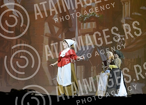 The show - a musical Cinderella held in Sava Center. Predstava - mjuzikl Pepeljuga odrzana u Sava centru