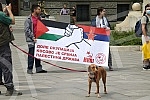 A rally in support of the Palestinian people in Jerusalem was held at the Monument to Prince Mikhail on Republic Square, organized by the Palestinian Diaspora in Serbia. Kod Spomenika knezu Mihailu, na Trg Republike odrzan skup podrske palestinskom