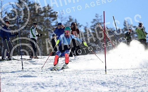 Preparations Nevena Ignjatovic on the ski slope on Divcibarama on track Crni vrh.Pripreme Nevene Ignjatovic na ski stazi na Divcibarama, na stazi Crni vrh.