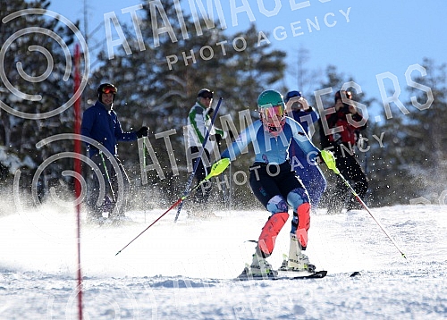 Preparations Nevena Ignjatovic on the ski slope on Divcibarama on track Crni vrh.Pripreme Nevene Ignjatovic na ski stazi na Divcibarama, na stazi Crni vrh.