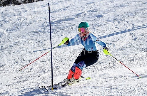 Preparations Nevena Ignjatovic on the ski slope on Divcibarama on track Crni vrh.Pripreme Nevene Ignjatovic na ski stazi na Divcibarama, na stazi Crni vrh.