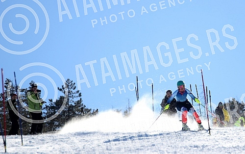 Preparations Nevena Ignjatovic on the ski slope on Divcibarama on track Crni vrh.Pripreme Nevene Ignjatovic na ski stazi na Divcibarama, na stazi Crni vrh.