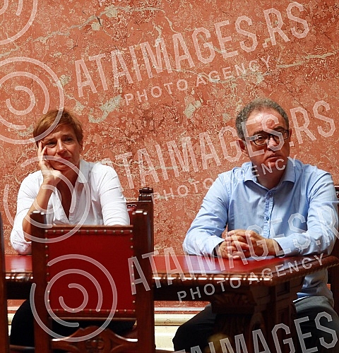 The President of the Executive Committee of the Democratic Party and MP Srdjan Milivojevic held a media conference in the hall of the House of the National Assembly of the Republic of Serbia.Predsednik Izvrsnog odbora Demokratske stranke i narodni 