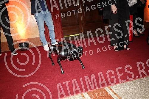 The Wannabe digital awards 2022 was held at Kolarac's endowmentodela nagrada Wannabe digital awards 2022 odrzana je u Kolarcevoj zaduzbini. 