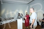 The exhibition 