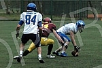 IFAF Liga sampiona americkog fudbala odigrana na Adi ciganliji izmedju SBB Vukova i Silverhawks iz Slovenije (Ljubljana/Slovenia).