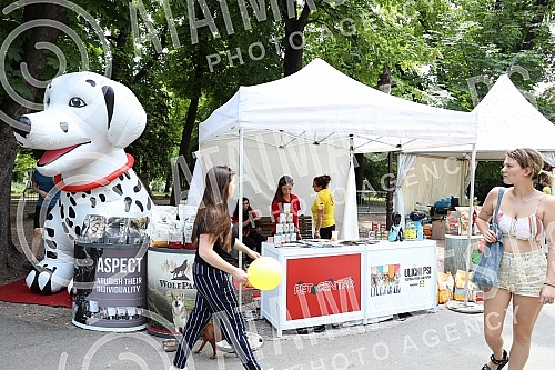 The first regional festival of dogs of all breeds called 