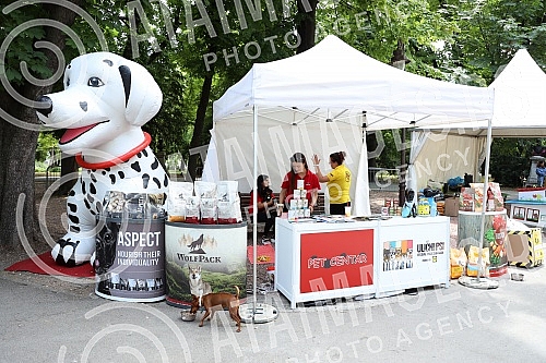 The first regional festival of dogs of all breeds called 