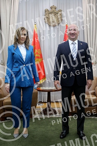 Minister without portfolio Nenad Popovic met with Montenegrin Minister of education, science, culture and sports Vesna Bratic.  Ministar bez portfelja Nenad Popovic sastao se sa ministarkom prosvete, nauke, kulture i sporta Crne Gore Vesnom Bratic