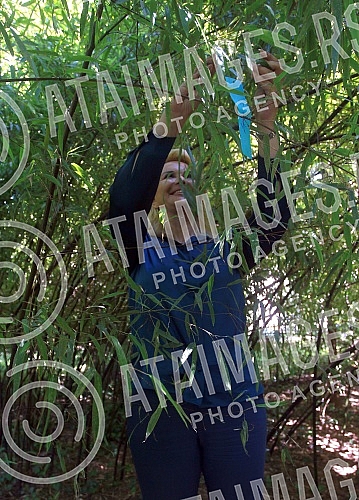 In the Jevremovac Botanical Garden, a public call for innovative solutions for decarbonization that contributes to a fair green transition in Serbia has been opened.U Botanickoj basti Jevremovac otvoren je Javni poziv za inovativna resenja za dekar