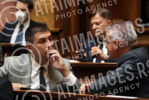 Congress of Serbian - American Friendship and East West Bridge organized a conference 