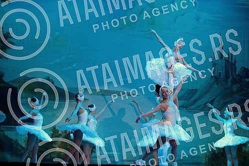 Ice Ballet - Swan Lake (Labudovo jezero) took place in Sava Center.Balet na ledu - Labudovo jezero odrzano u Sava centru.