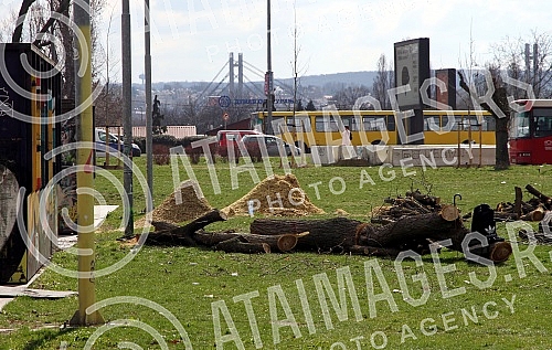 Cutting trees on Usce and Kalemegdan, as a preparation for mounting a gondola over the Sava River.Seca drveca na Uscu i Kalemegdanu, kao priprema za postavljanje gondole preko reke Save