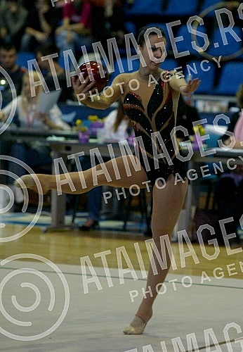 Medjunarodni turnir u ritmickoj gimnastici 