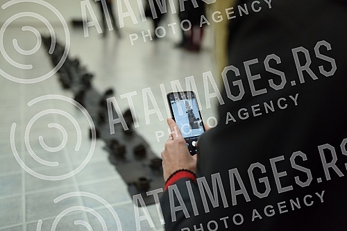 Exhibition of sculptures 