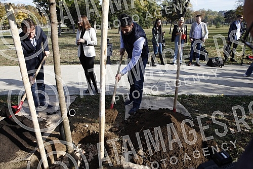 In the Friendship Park in Usce, the Serbian Progressive Party celebrated its 13th birthday by planting 13 trees.In the Friendship Park in Usce, the Serbian Progressive Party celebrated its 13th birthday by planting 13 trees.
