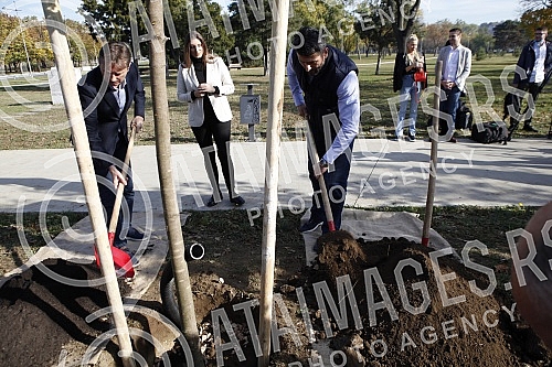 In the Friendship Park in Usce, the Serbian Progressive Party celebrated its 13th birthday by planting 13 trees.In the Friendship Park in Usce, the Serbian Progressive Party celebrated its 13th birthday by planting 13 trees.
