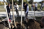 In the Friendship Park in Usce, the Serbian Progressive Party celebrated its 13th birthday by planting 13 trees.In the Friendship Park in Usce, the Serbian Progressive Party celebrated its 13th birthday by planting 13 trees.