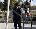In the Friendship Park in Usce, the Serbian Progressive Party celebrated its 13th birthday by planting 13 trees.In the Friendship Park in Usce, the Serbian Progressive Party celebrated its 13th birthday by planting 13 trees.