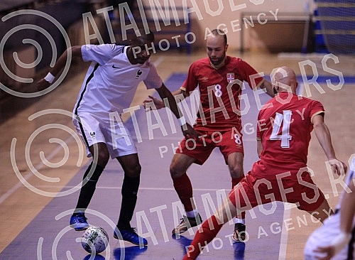 International futsal friendly match between Serbia and France held in Hall Sumice.Medjunarodna futsal prijateljska utakmica izmedju Srbije i Francuske odigrana u SC Sumice. 