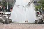 A migrant from Kuwait is bathing in a fountain on Nikola Pasic Square.Migrant iz Kuvajta se kupa u fontani na Trgu Nikole Pasica.