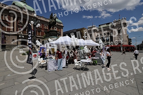 The Clinic for Psychiatric Diseases 