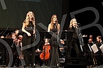 The gala concert on the occasion of the 