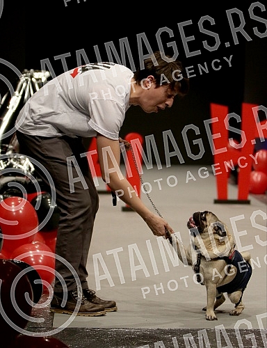 Fashion show for dogs by Irena Atanaskovic Hrnjak (IHA) held at the Belexpo Center.Modna revija za pse by Irena Atanaskovic Hrnjak (IHA) odrzana u Belexpo centru.