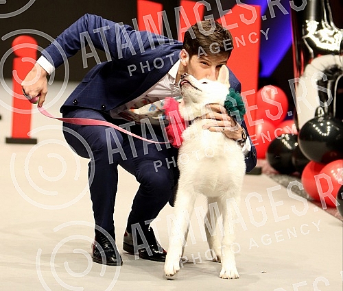 Fashion show for dogs by Irena Atanaskovic Hrnjak (IHA) held at the Belexpo Center.Modna revija za pse by Irena Atanaskovic Hrnjak (IHA) odrzana u Belexpo centru.