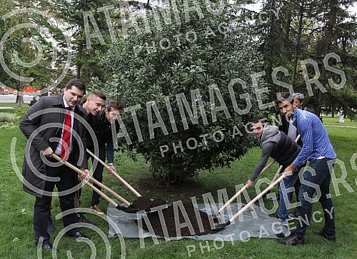Sadnja drveta u Pionirskom parku povodom dana 