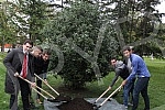 Sadnja drveta u Pionirskom parku povodom dana 
