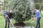 Sadnja drveta u Pionirskom parku povodom dana 