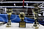 The Final of 60th boxing tournament Golden Glove held in Kombank arena.Finale 60. bokserskog turnira Zlatna rukavica odrzana u Kombank areni.