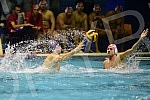 The match of the second round of the Premier Regional Water Polo League between VK Crvena Zvezda and VK Primorac.Utakmica drugog kola Premijer regionalne vaterpolo lige izmedju VK Crvena zvezda i VK Primorac.