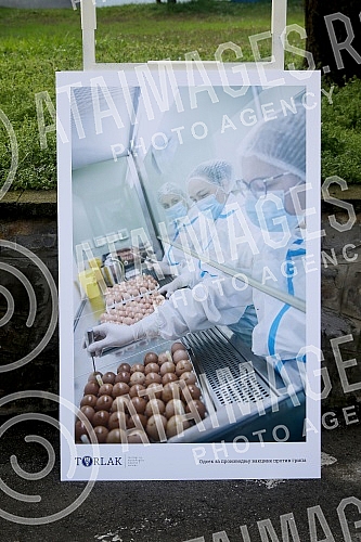 The President of the Republic of Serbia, Aleksandar Vucic, visited the Torlak Institute of Virology and Serums and presented the AstraZeneca vaccine for the Republika Srpska to the Chairman of the Presidency of Bosnia and Herzegovina, Milorad Dodik.