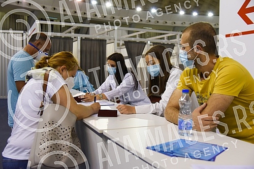 The team of the program for connecting with the Serbian diaspora 