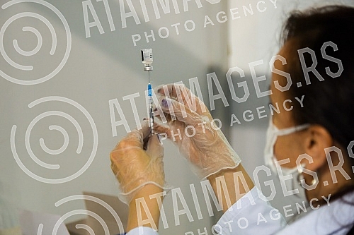 The team of the program for connecting with the Serbian diaspora 