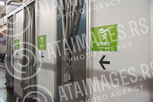 The team of the program for connecting with the Serbian diaspora 