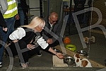 Singer Jelena Karleusa and Deputy Mayor Goran Vesic visited the association Animal Rescue Serbia.Pevacica Jelena Karleusa i zamenik gradonacelnika Goran Vesic obisli su udruzenje Animal Rescue Serbia.